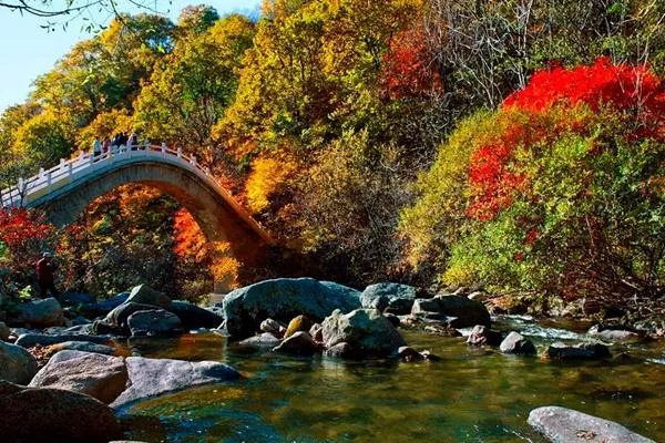 天橋溝國家森?
?公園在哪 最適合什么時候去玩