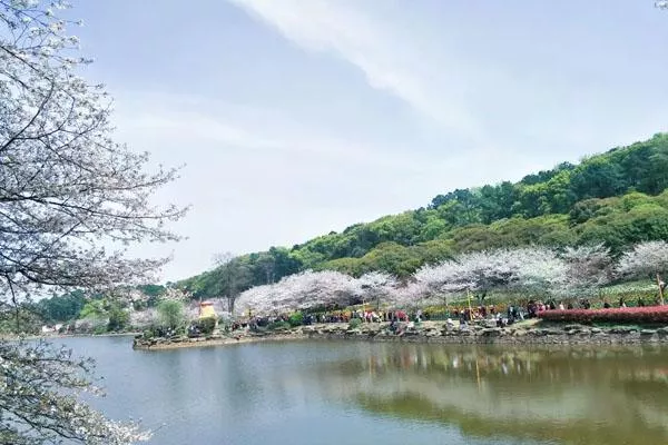 湖南省森林植物園游玩攻略 附景點(diǎn)介紹