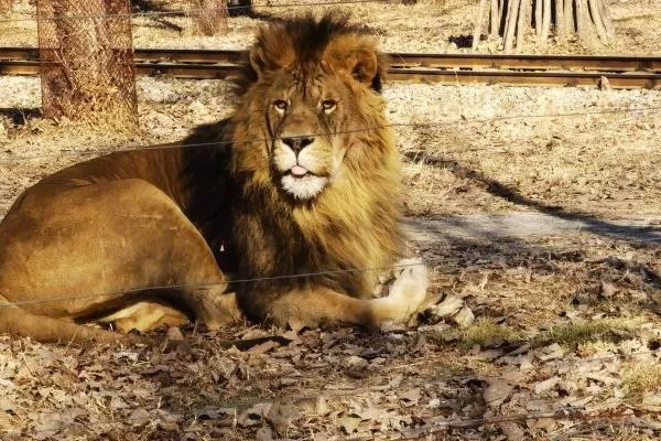 秦皇島野生動(dòng)物園具體位置