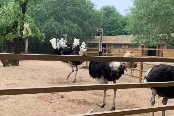 秦皇島野生動(dòng)物園具體位置