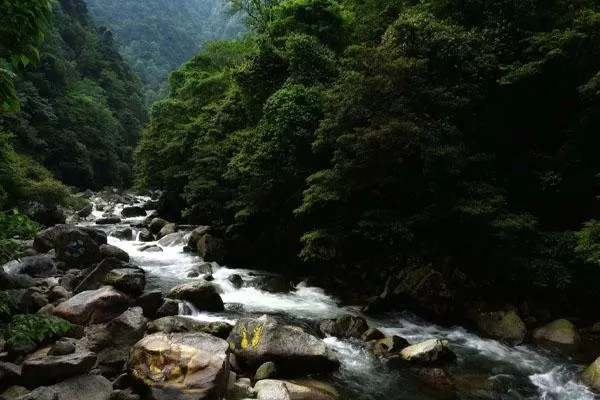 神農(nóng)谷國(guó)家森林公園旅游攻略 附地址及自駕游攻略