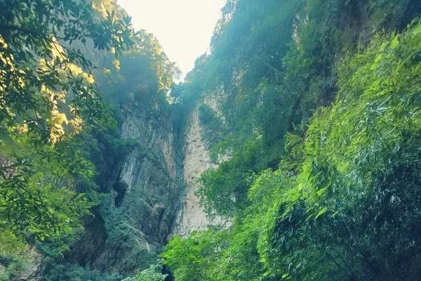 重慶神龍峽風景區(qū)在哪里