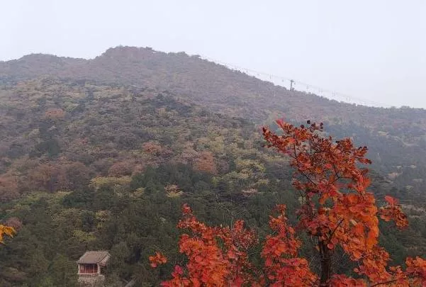 北京香山公園親子游玩攻略