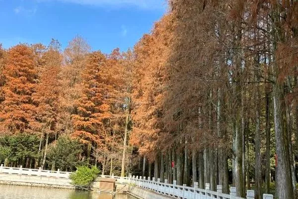 福州國(guó)家森林公園旅游攻略一日游