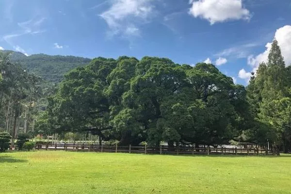 福州國(guó)家森林公園開(kāi)放時(shí)間最新