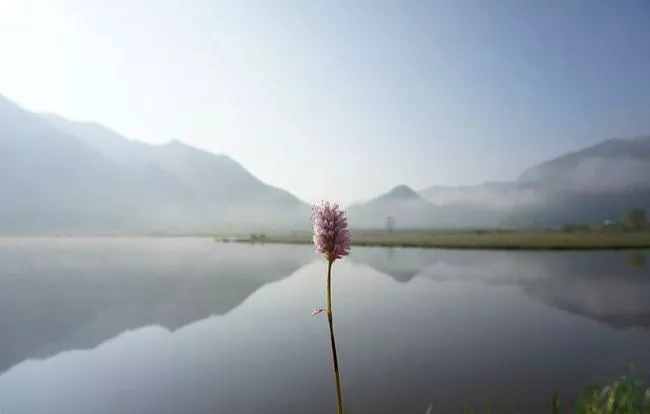 神農(nóng)架有什么好玩的地方 神農(nóng)架有野人嗎