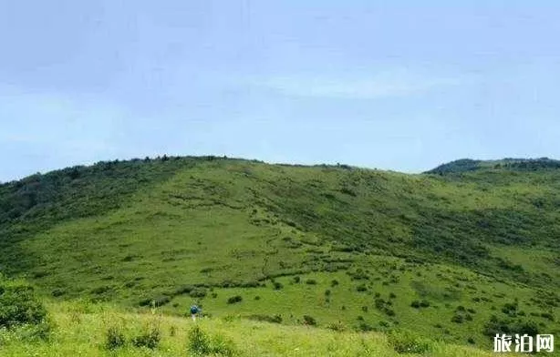 東坪溝高山草甸攻略