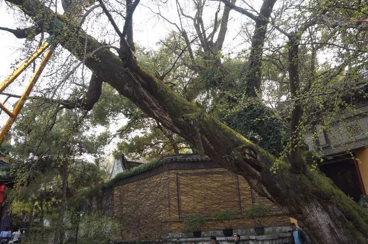 錫惠公園門票  錫惠公園門票多少錢