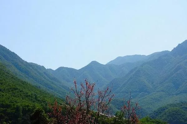 龍王山風(fēng)景區(qū)在哪里 龍王山爬山攻略