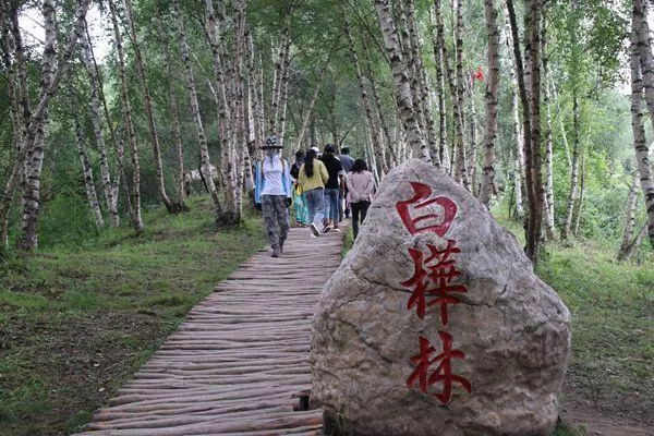 康樂縣白樺林冰雪世界免費(fèi)到什么時(shí)候?日常門票價(jià)格介紹