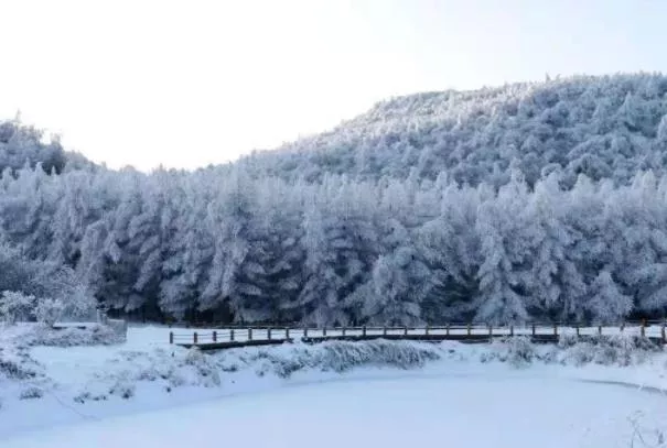 2022重慶茅草壩滑雪場攻略 門票價(jià)格和地址交通指南