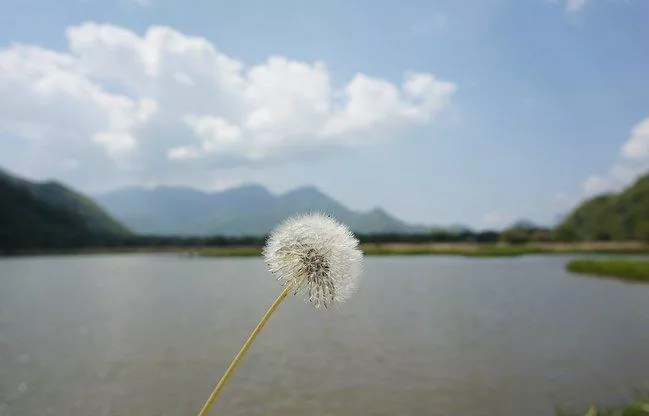 神農(nóng)架有什么好玩的地方 神農(nóng)架有野人嗎