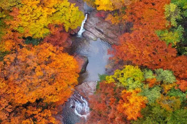 光霧山紅葉節(jié)2022年什么時(shí)候開幕