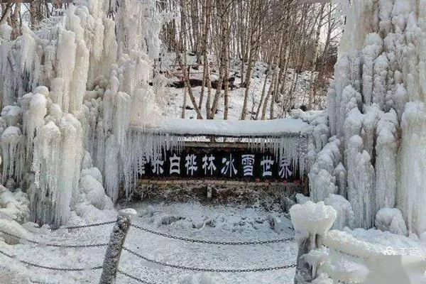 康樂縣白樺林冰雪世界免費(fèi)到什么時(shí)候?日常門票價(jià)格介紹