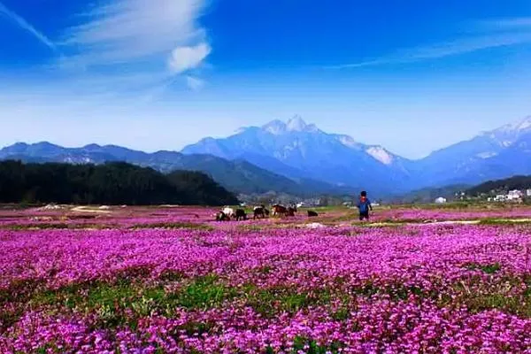 羅田燕兒谷景區(qū)游玩攻略 門票、住宿、最佳游玩時(shí)間都在這了