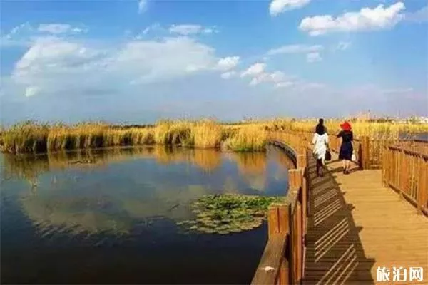 曲靖海峰濕地公園怎么去 包車費(fèi)用多少-海峰濕地可以釣魚嗎