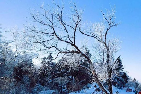 2021吉林北大湖滑雪場(chǎng)好玩嗎 北大湖滑雪場(chǎng)門票+地址信息