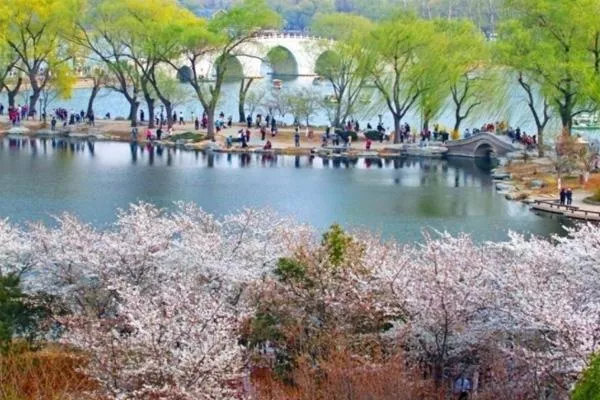 玉淵潭公園售票處電話 玉淵潭公園景點(diǎn)介紹