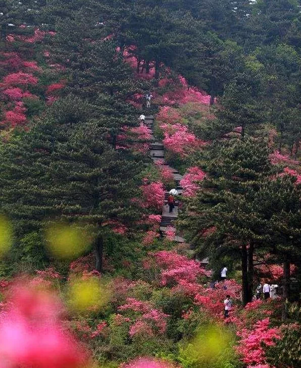 麻城龜峰山游玩攻略 麻城龜峰山風(fēng)景區(qū)旅游攻略