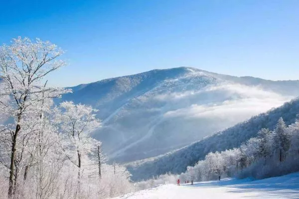 2021吉林北大湖滑雪場(chǎng)好玩嗎 北大湖滑雪場(chǎng)門票+地址信息