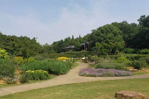 中山植物園南園游玩攻略