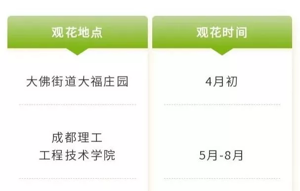 四川樂山市市中區(qū)春日賞花指南 附詳細花類、賞花地址、賞花時間