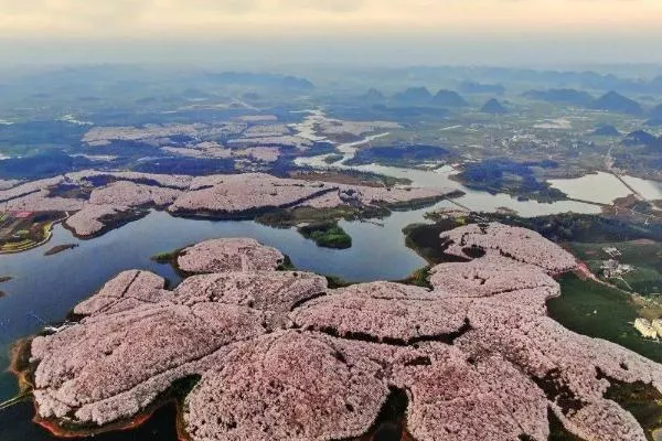 貴陽(yáng)春游去哪里看花