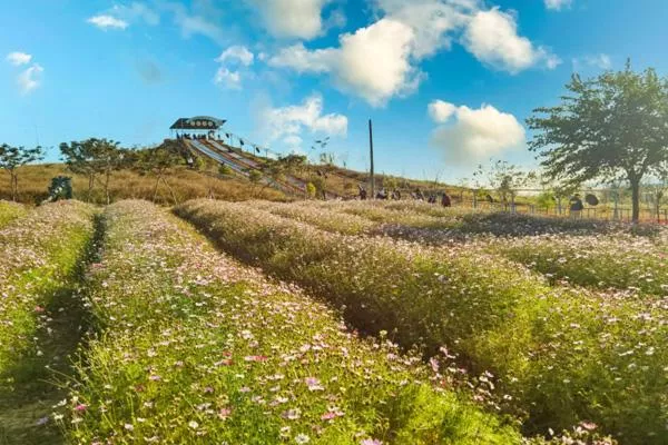 廣州花都露營(yíng)的好地方 花都哪里有露營(yíng)的地方